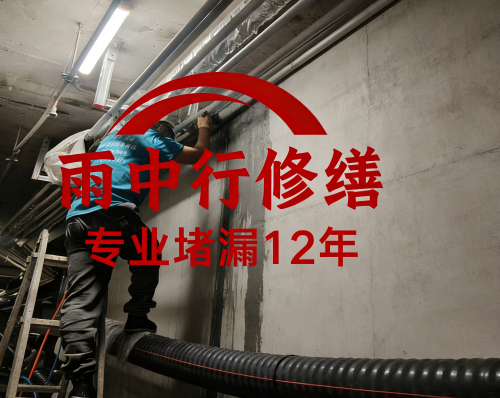 璧山管廊堵漏案例